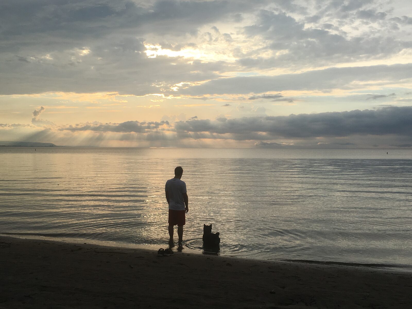 A person silhouetted against a Wasaga Beach sunrise on Georgian Bay, with their dog beside them at the water's edge.